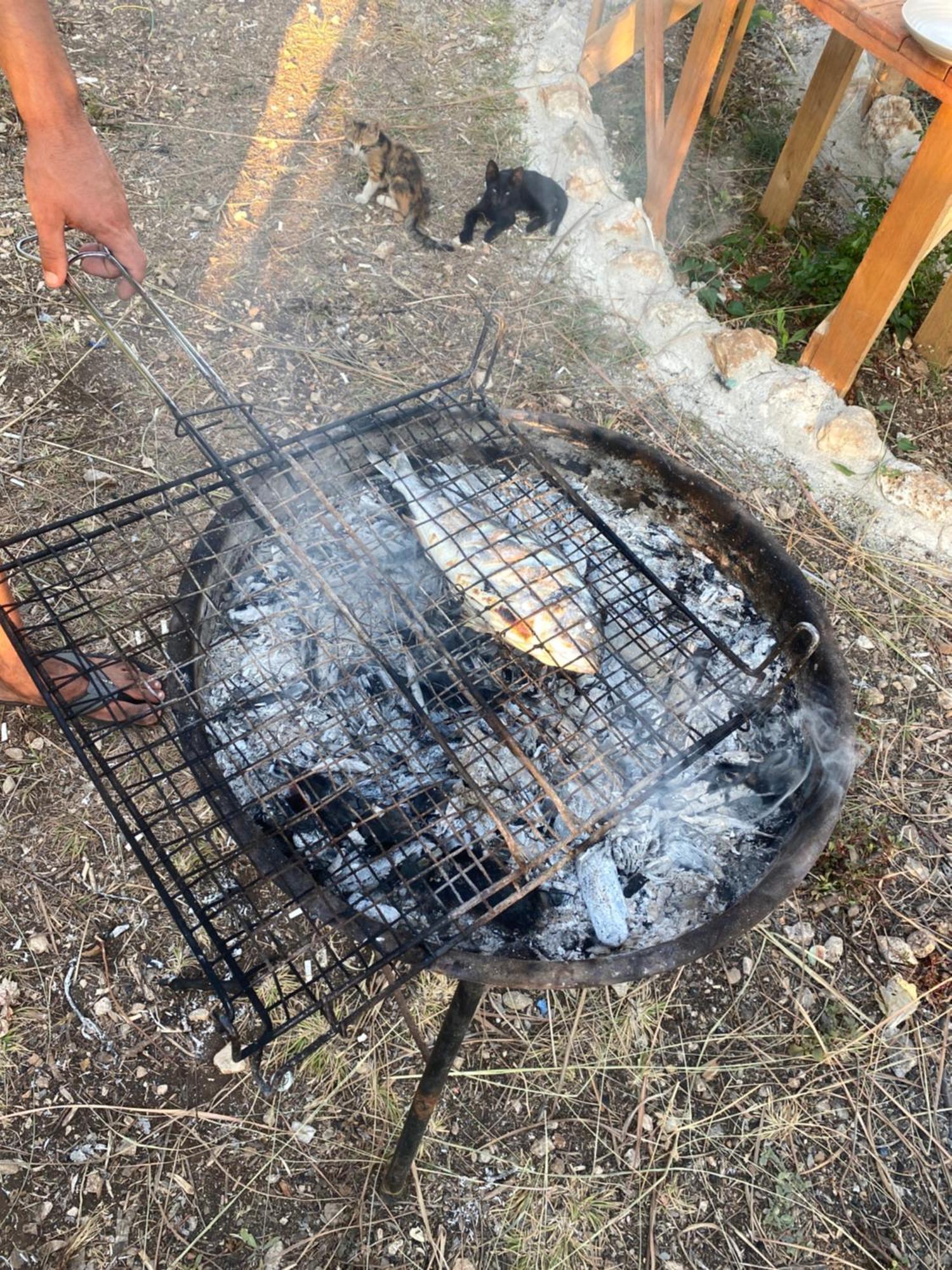 Apartamento White And Camping Drymades Dhërmi