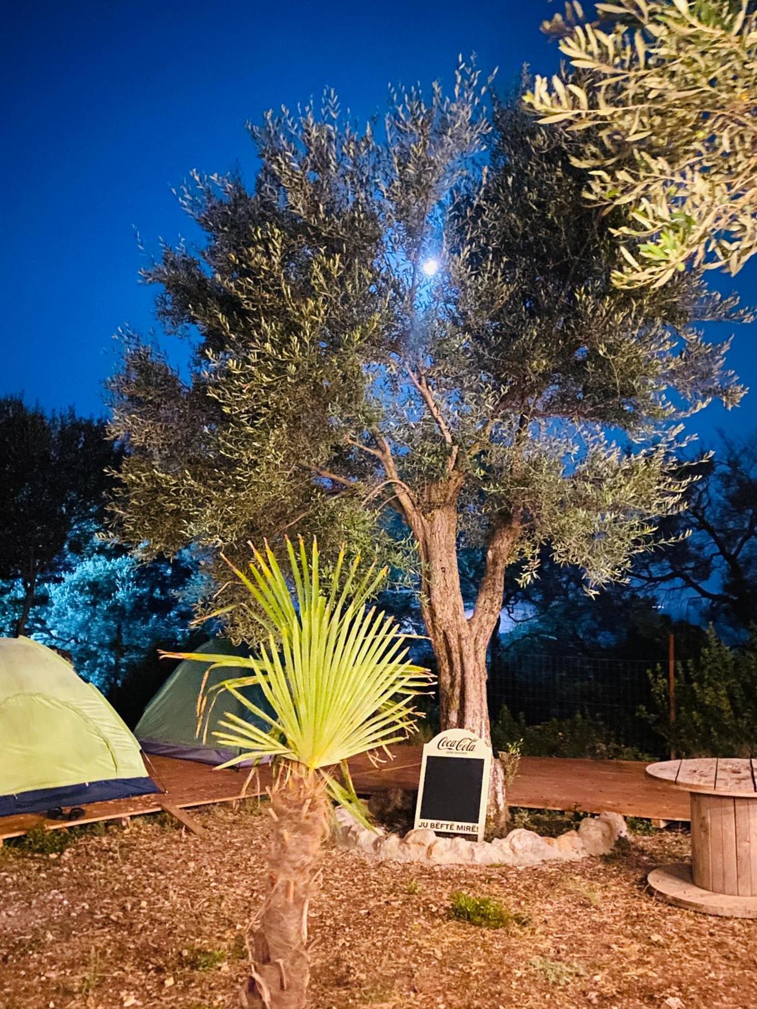 White And Camping Drymades * Dhërmi