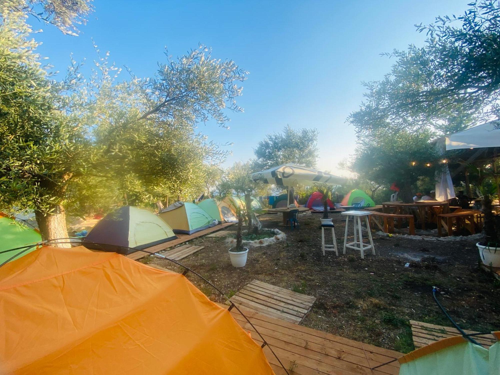 White And Camping Drymades * Dhërmi