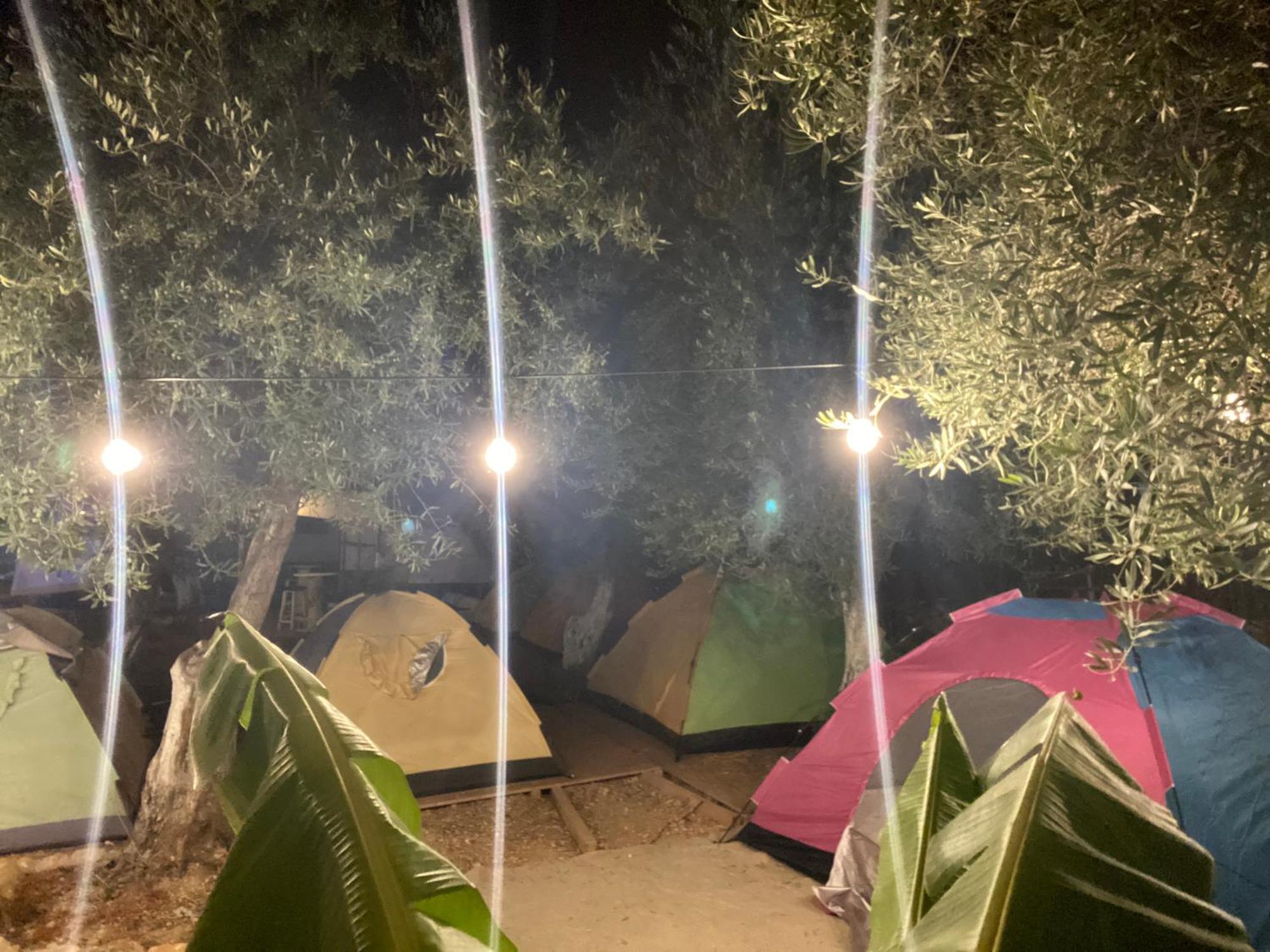 White And Camping Drymades * Dhërmi