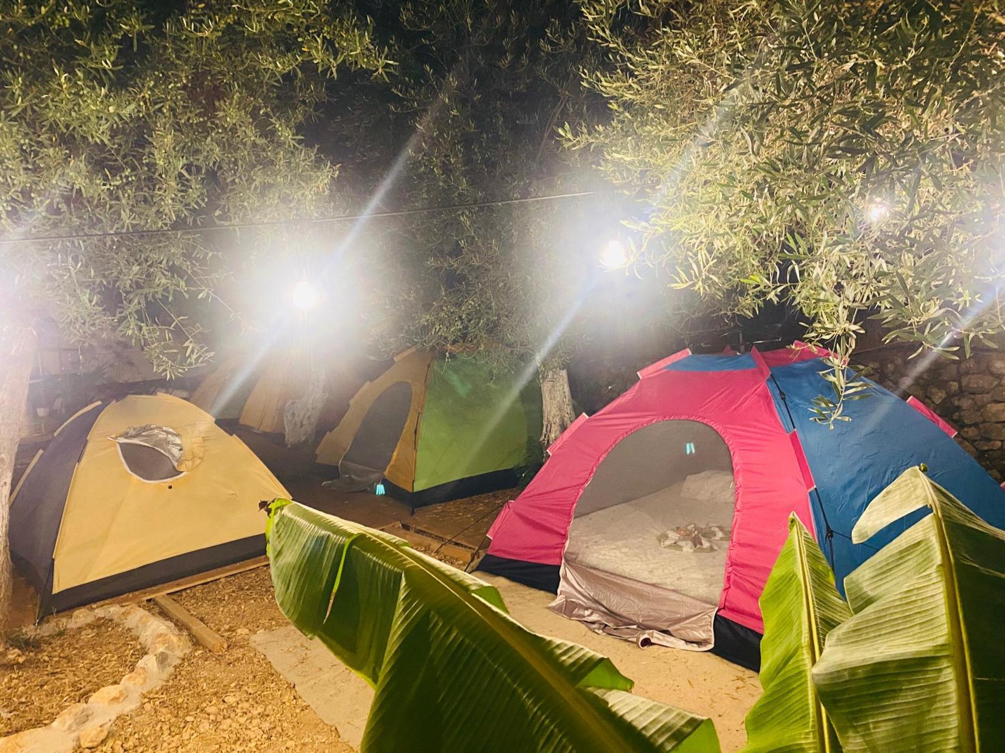 White And Camping Drymades